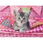Puzzle Pisicuta, 100 Piese Ravensburger - 1